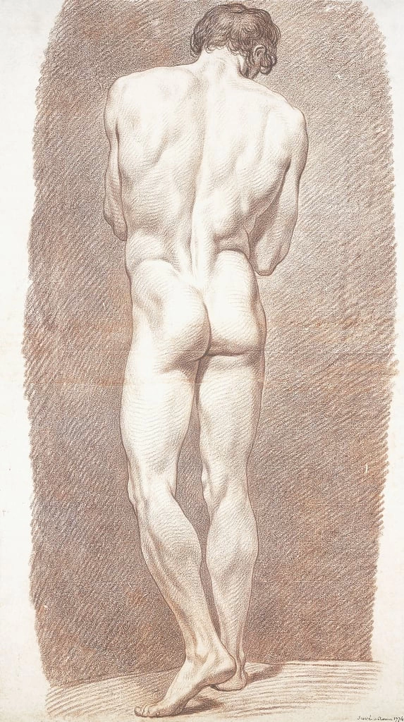 Studio di nudo maschile di schiena